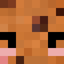 Player skin of Timderkeks