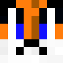 Player skin of Todd_Firefox