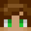 Player skin of TonyWuol22