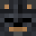 Player skin of ToyeBear
