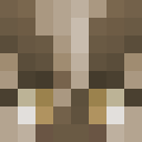 Player skin of Ttempestarii