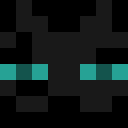 Player skin of UnloadedChunk0