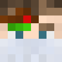 Player skin of UserNikita