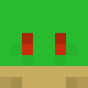 Player skin of Vermilion_Stone