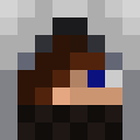 Player skin of VoltFire