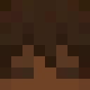 Player skin of Voslip