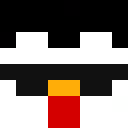Player skin of W1ke