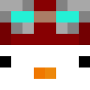 Player skin of WardX78
