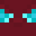 Player skin of Webshooter38