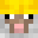 Player skin of Whooly