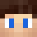 Player skin of WhyJan