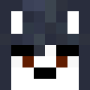 Player skin of WolfHawk