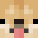Player skin of WoodsidePuppies
