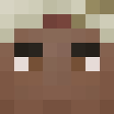 Player skin of Xetarrr