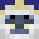 Player skin of Yetizuli