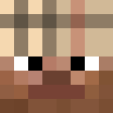 Player skin of ZJ8904