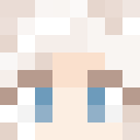 Player skin of ZZpoop2011
