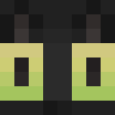 Player skin of ZenZoya