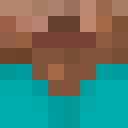 Player skin of ZigaZoon