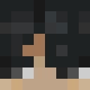 Player skin of Zkminer100