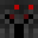 Player skin of Zyqrel