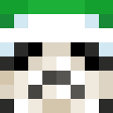 Player skin of _Llew