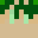Player skin of _Salsas_