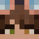 Player skin of _Venera_