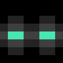 Player skin of __C0mmand3r__