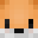 Player skin of __Leoh_