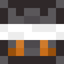 Player skin of __pirate__
