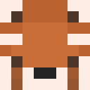 Player skin of Flantixz