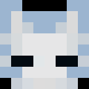 Player skin of Technoblade333