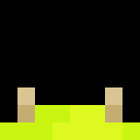 Player skin of finbin454