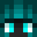 Player skin of Norm1s