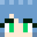 Player skin of sophaaee
