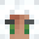 Player skin of Wolverik