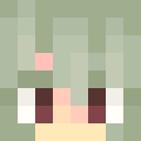 Player skin of Mad_Junker