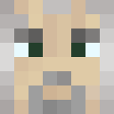Player skin of Zokwyn