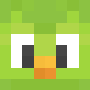 Player skin of MrLingoYT