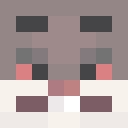 Player skin of B0iChungus