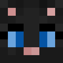 Player skin of LordKriegerTV