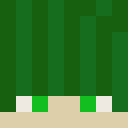 Player skin of DreeDuality