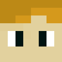 Player skin of Ledrone