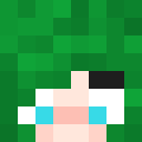 Player skin of NikoNikotin