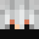 Player skin of MrDorion