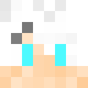 Player skin of PrimeOnPC