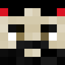 Player skin of BOTDADGAMIN