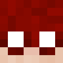 Player skin of TheAlmuHOMIE