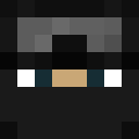 Player skin of akar98
